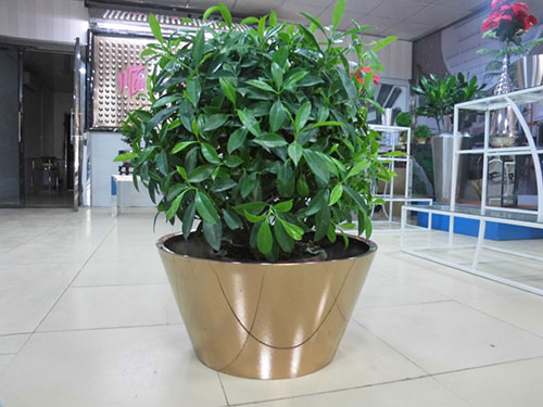 廣東汕頭不銹鋼花盆哪家做的好？